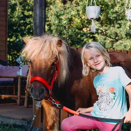 Ferienhaus Statek Raj Netvorice, Tiny House And Farm Experience