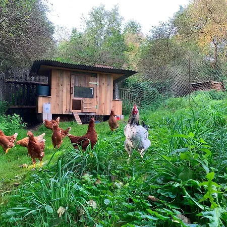 Ferienhaus Statek Raj Netvorice, Tiny House And Farm Experience *